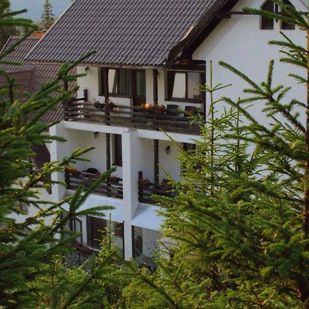 Hotel Cetina à Rânca Extérieur photo