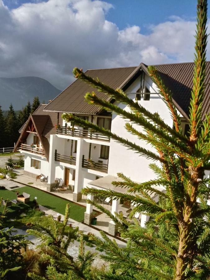 Hotel Cetina à Rânca Extérieur photo