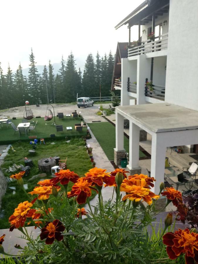 Hotel Cetina à Rânca Extérieur photo