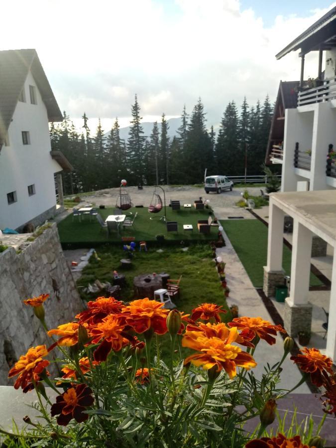 Hotel Cetina à Rânca Extérieur photo